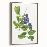 Framed canvas featuring a vintage poster of assorted fruits in muted gold and black tones, ideal for bedroom wall art.