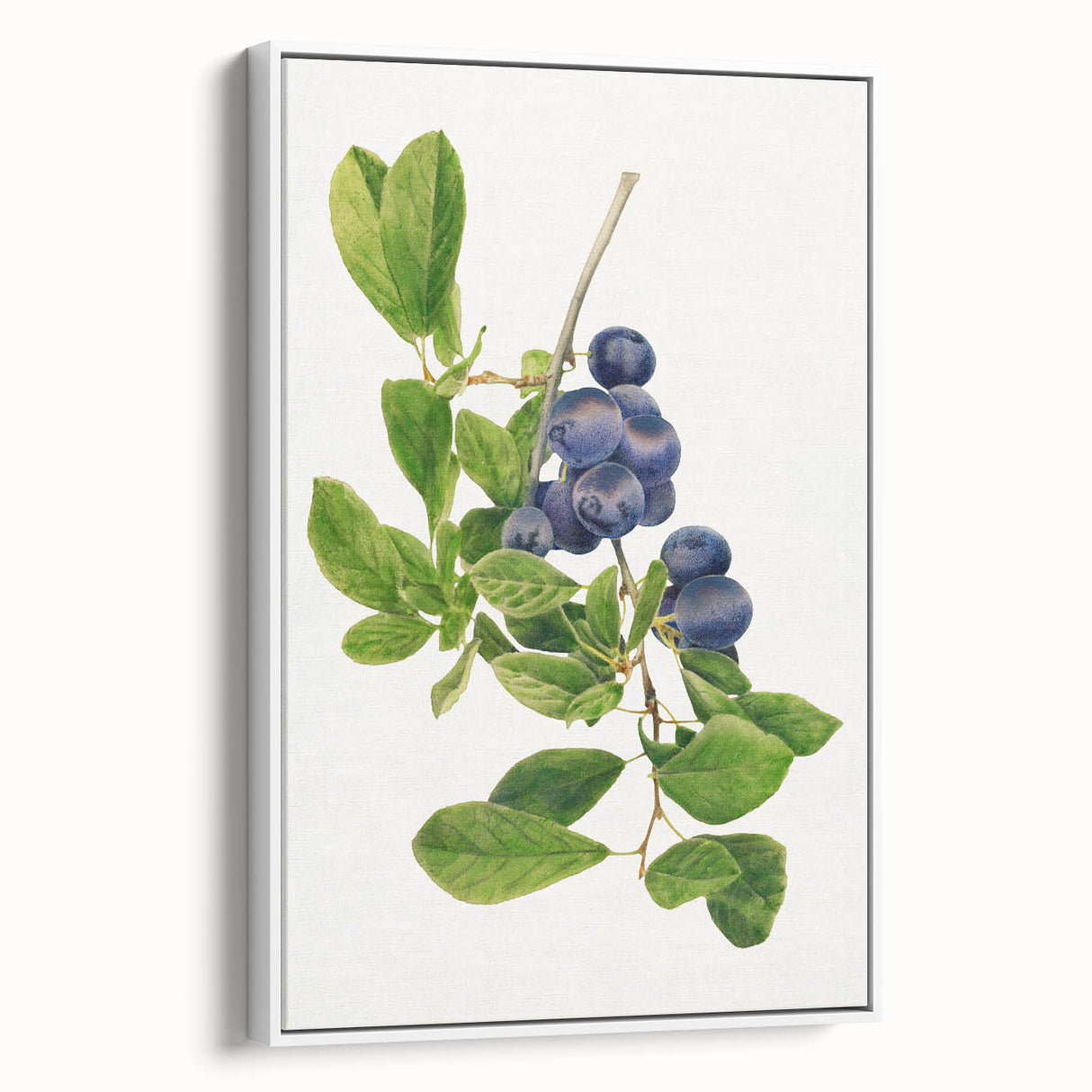 Vintage poster art of colorful fruits on a black background, framed canvas, ideal for living room decor.