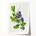 Rolled canvas print featuring a close-up of assorted fruits in vibrant colors, ideal for art wall dining room.