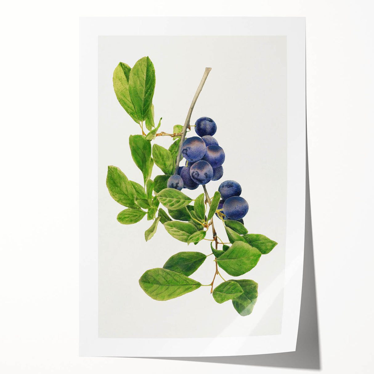 Rolled canvas print featuring a close-up of assorted fruits in vibrant colors, ideal for art wall dining room.