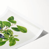 Extra large wall art featuring line art flowers in black on a white background, ideal for large living room decor.
