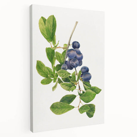 Large canvas wall art featuring a variety of colorful fruits, suitable for kitchen decor.