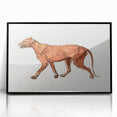 Tiger Body Lateral View Realism Art Print - George Stubbs Anatomical Study