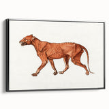 Tiger Body Lateral View Realism Art Print - George Stubbs Anatomical Study