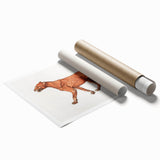 Tiger Body Lateral View Realism Art Print - George Stubbs Anatomical Study