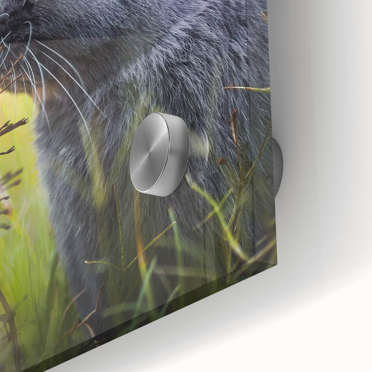 Large abstract wall art on acrylic glass featuring soft pastel colors in a mid-century modernist style.