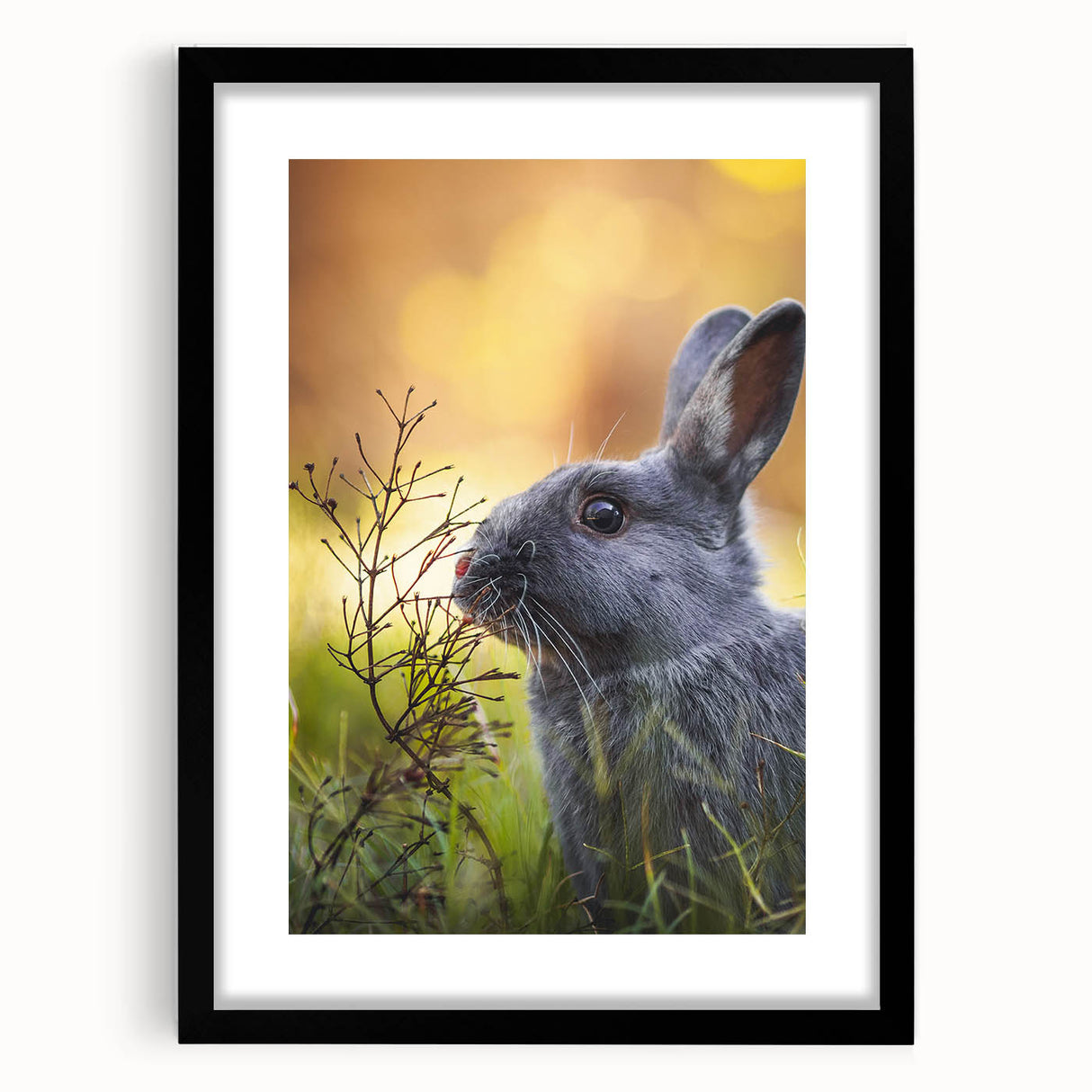 Extra large, textured abstract art print featuring vibrant spring colors on a black framed canvas.