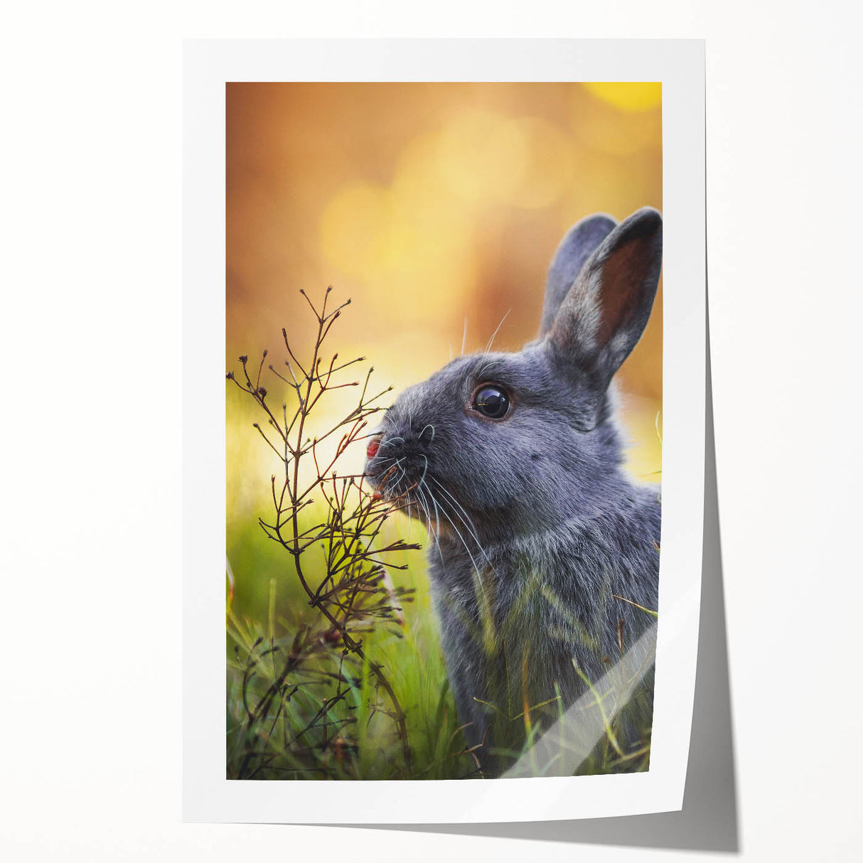 Spring-themed floral art on rolled canvas, showcasing soft pastel colors, ideal for dining room or bathroom wall.