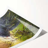Extra large rolled print of line art flowers in soft pastel hues, ideal for large living room wall art.