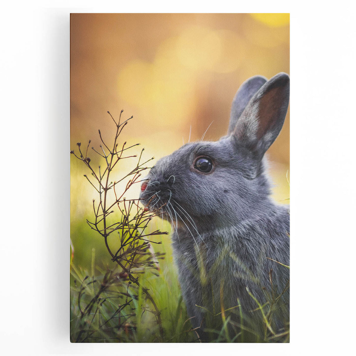 Black and white abstract depiction of spring on stretched canvas, ideal for kitchen wall art.
