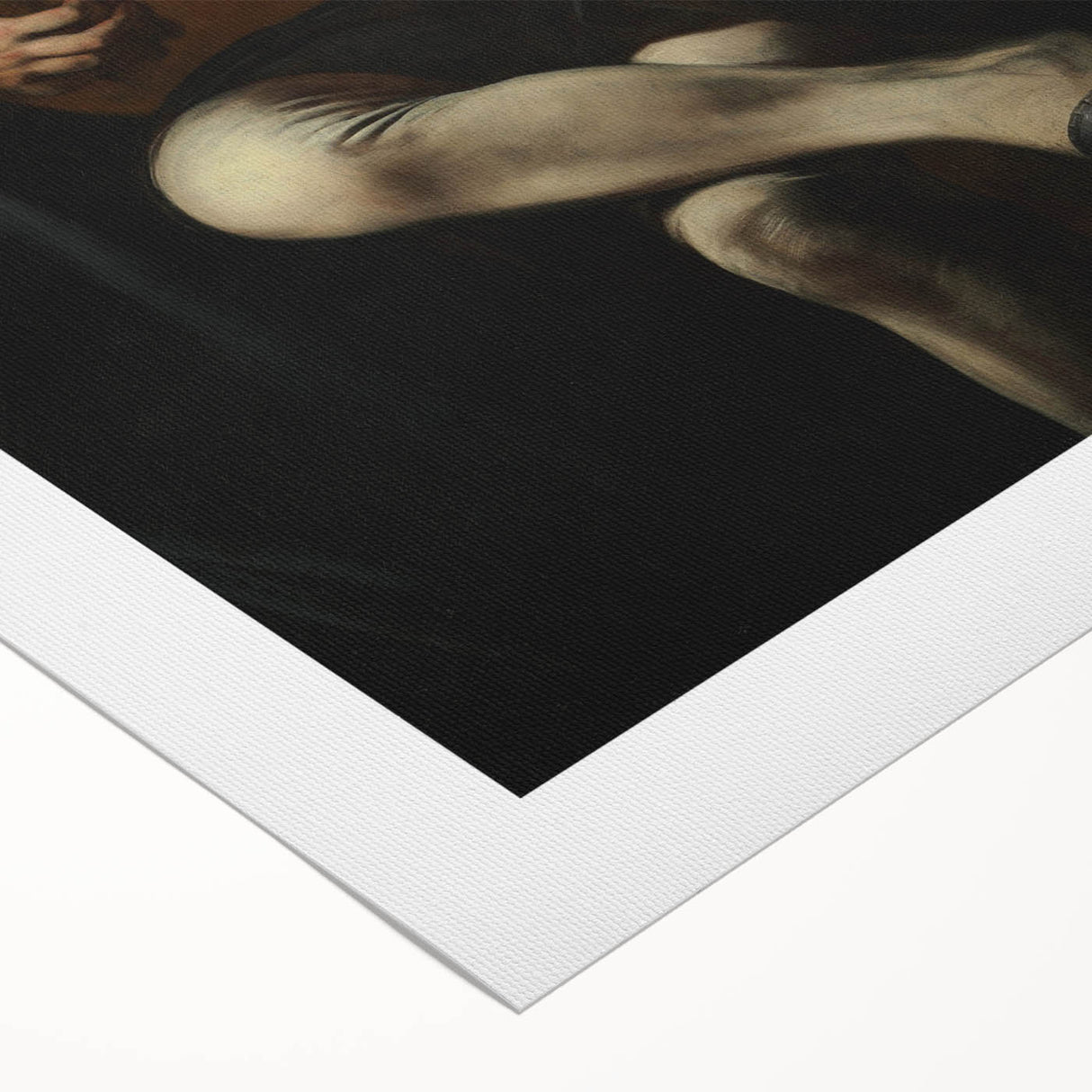 Baroque Portrait of Musician with Lute - Historical Art Prints