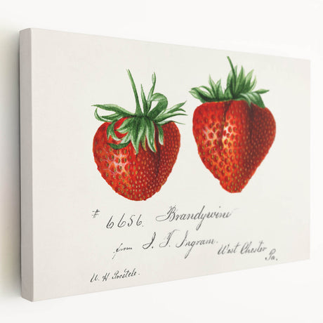 Large canvas print featuring an array of fruits in vibrant colors, ideal for kitchen wall art.