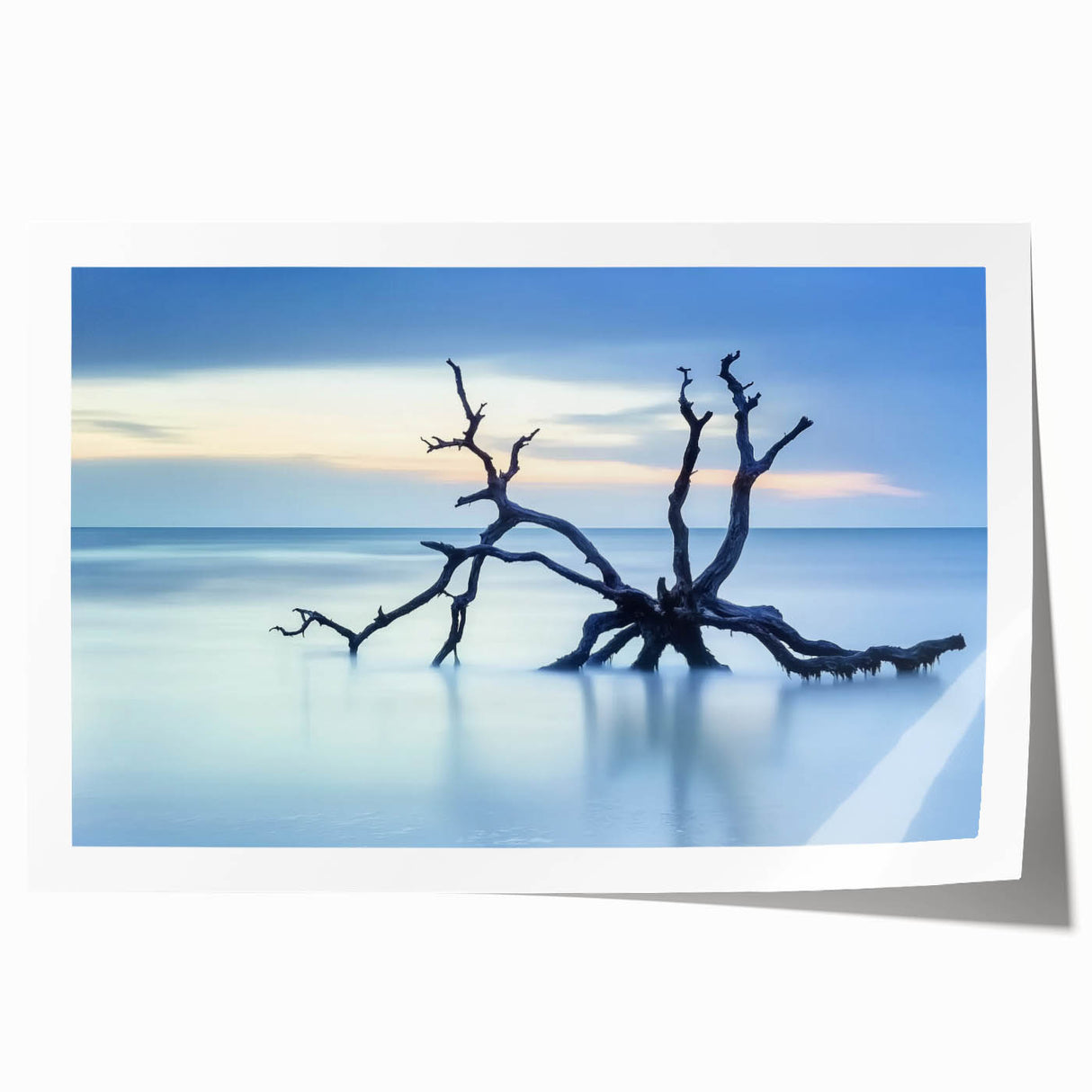 Vibrant rolled print showcasing a serene beach landscape with soft waves and a clear sky, elegantly packaged in a protective cardboard tube. Ideal for coastal decor enthusiasts.