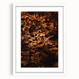 Abstract art print depicting autumnal trees in warm orange and red shades on a white framed canvas.