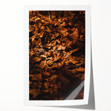 Rolled print of a fall-themed floral art with warm orange and red tones.