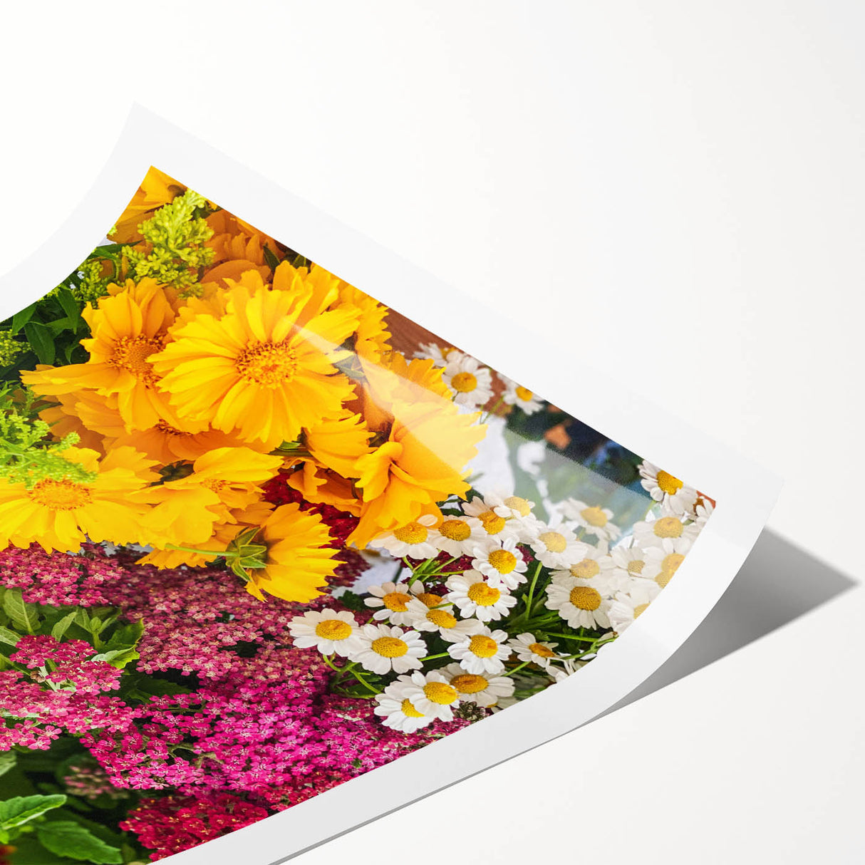 Extra large wall art featuring line art flowers in muted pastel shades on rolled canvas.
