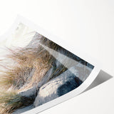 Extra large wall art featuring line art flowers in monochrome, ideal for large living room ambiance, rolled print format.