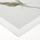 Botanical Blue Bloom - Elegant Floral Canvas Wall Art for Living Room