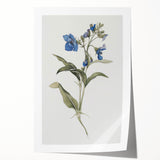 Botanical Blue Bloom - Elegant Floral Canvas Wall Art for Living Room