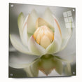 Acrylic Dining Room Artwork - Soft White Lotus Floral Print