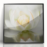 Acrylic Dining Room Artwork - Soft White Lotus Floral Print