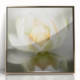 Acrylic Dining Room Artwork - Soft White Lotus Floral Print