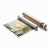 Acrylic Dining Room Artwork - Soft White Lotus Floral Print