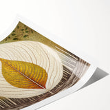 Rolled print showcasing a vibrant floral and botanical design with intricate details, perfect for home decor, elegantly packaged in a protective cardboard tube.