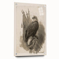 Bald Eagle & Flags - Independence Day Wall Art