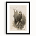 Bald Eagle & Flags - Independence Day Wall Art
