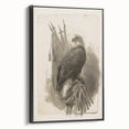 Bald Eagle & Flags - Independence Day Wall Art