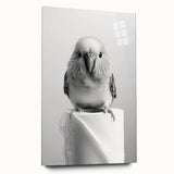 Bathroom Wall Art - Charming Bird with Toilet Paper