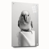 Bathroom Wall Art - Charming Bird with Toilet Paper