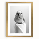 Bathroom Wall Art - Charming Bird with Toilet Paper