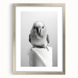 Bathroom Wall Art - Charming Bird with Toilet Paper