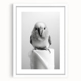 Bathroom Wall Art - Charming Bird with Toilet Paper
