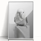 Bathroom Wall Art - Charming Bird with Toilet Paper