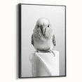 Bathroom Wall Art - Charming Bird with Toilet Paper
