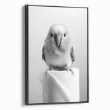 Bathroom Wall Art - Charming Bird with Toilet Paper
