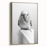 Bathroom Wall Art - Charming Bird with Toilet Paper