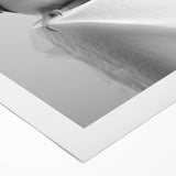 Bathroom Wall Art - Charming Bird with Toilet Paper