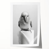 Bathroom Wall Art - Charming Bird with Toilet Paper