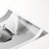 Bathroom Wall Art - Charming Bird with Toilet Paper