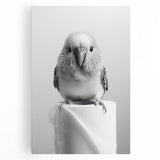 Bathroom Wall Art - Charming Bird with Toilet Paper