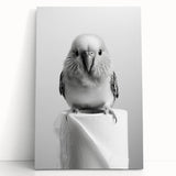 Bathroom Wall Art - Charming Bird with Toilet Paper