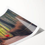 Extra large wall art featuring line art flowers in black on white, ideal for large living room wall decor.