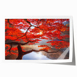 Extra large rolled print of a serene Korean landscape with soft floral elements, ideal for art wall dining room.