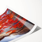 A rolled canvas featuring extra large wall art of line art flowers in black on a white background.