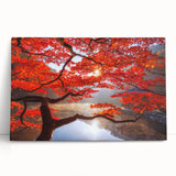 Black and white stretched canvas featuring a serene Korean landscape, ideal for kitchen wall art or bedroom ambiance.