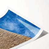 Extra large rolled print of line art flowers in muted earth tones, ideal for large living room wall art.